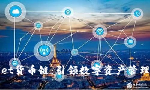 TPWallet货币链：引领数字资产管理新潮流