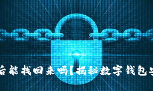 tpWallet被盗后能找回来吗？揭秘数字钱包安全与恢复方法
