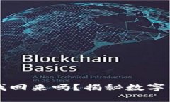 tpWallet被盗后能找回来吗？