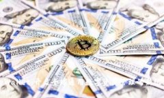 tpWallet：开启全球通用数字资产管理的新纪元