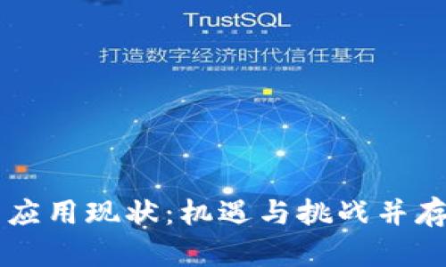 乌克兰加密货币应用现状：机遇与挑战并存的数字金融未来