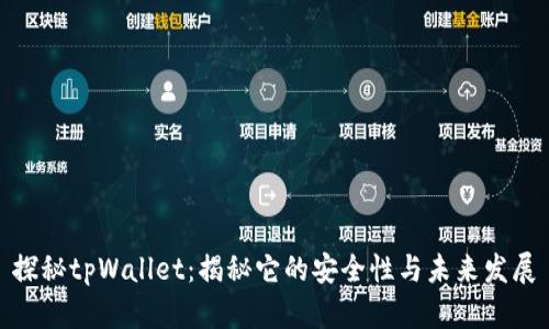 探秘tpWallet：揭秘它的安全性与未来发展