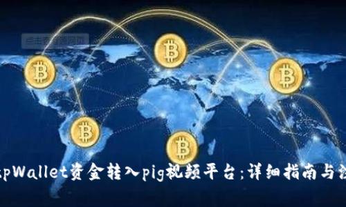 如何将tpWallet资金转入pig视频平台：详细指南与注意事项