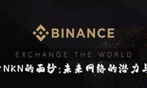  揭开NKN的面纱：未来网络的潜力与挑战